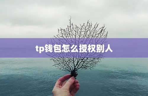 tp钱包怎么授权别人