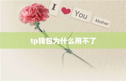 tp钱包为什么用不了