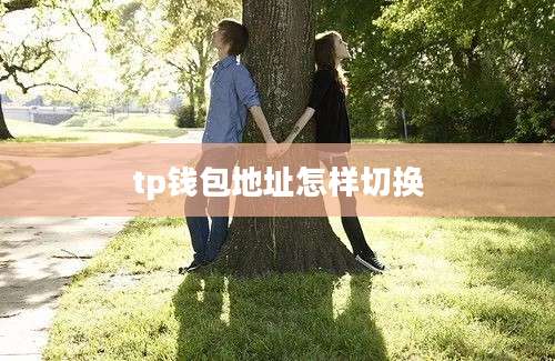 tp钱包地址怎样切换