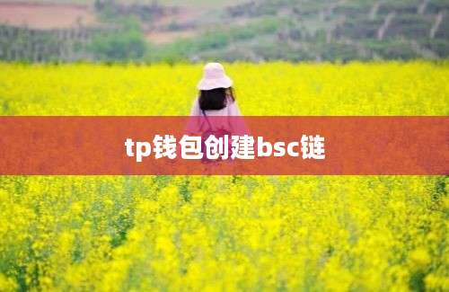 tp钱包创建bsc链
