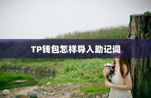 TP钱包怎样导入助记词