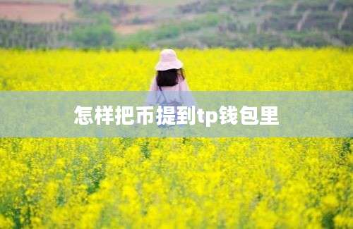 怎样把币提到tp钱包里