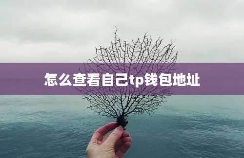 怎么查看自己tp钱包地址