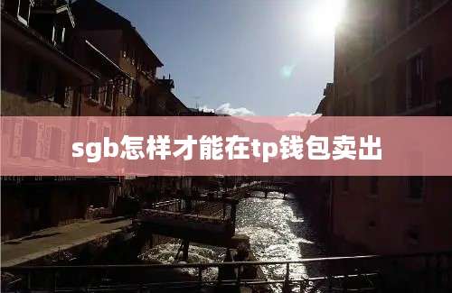 sgb怎样才能在tp钱包卖出