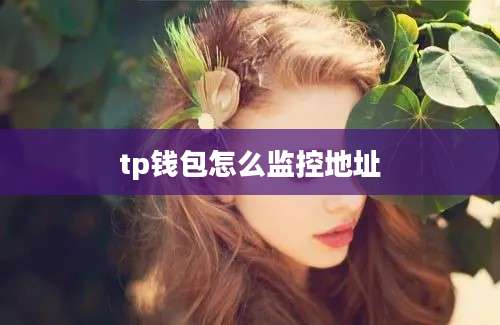 tp钱包怎么监控地址