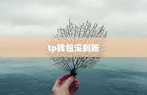tp钱包没到账