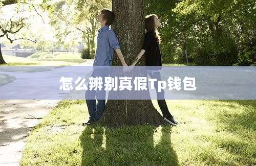 怎么辨别真假Tp钱包