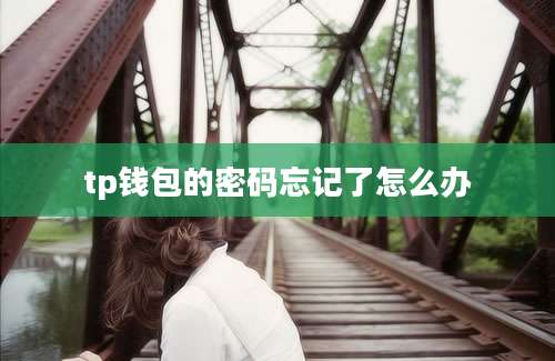 tp钱包的密码忘记了怎么办