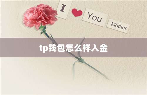 tp钱包怎么样入金
