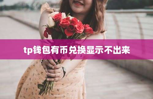 tp钱包有币兑换显示不出来