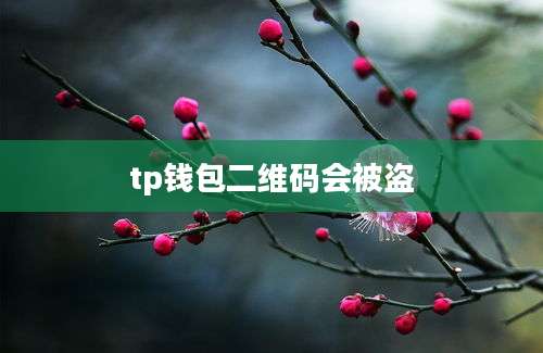tp钱包二维码会被盗