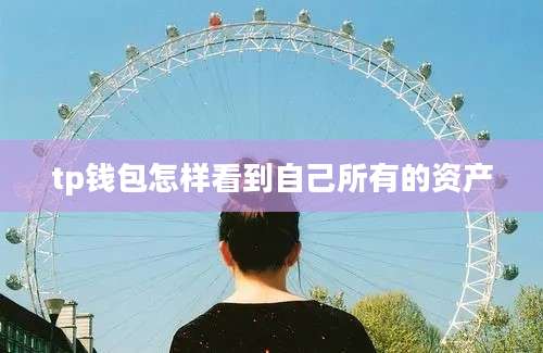 tp钱包怎样看到自己所有的资产