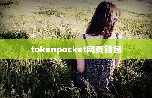 tokenpocket网页钱包