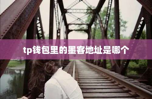 tp钱包里的墨客地址是哪个