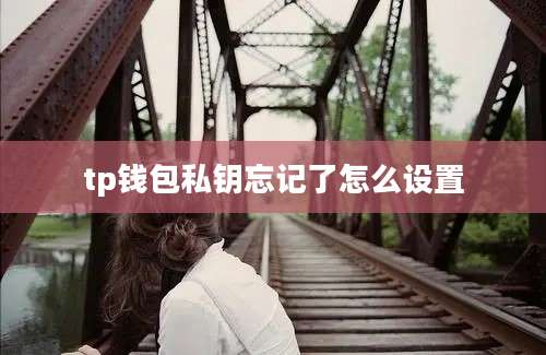 tp钱包私钥忘记了怎么设置