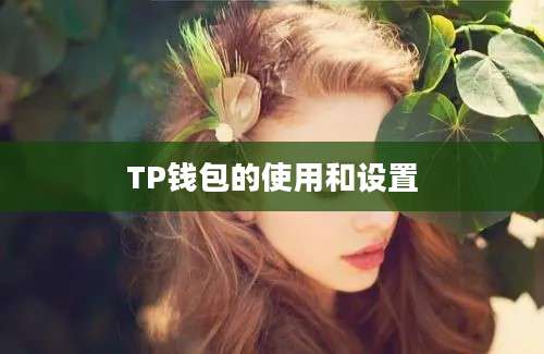 TP钱包的使用和设置