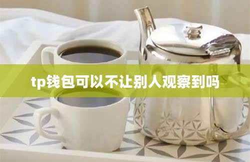 tp钱包可以不让别人观察到吗