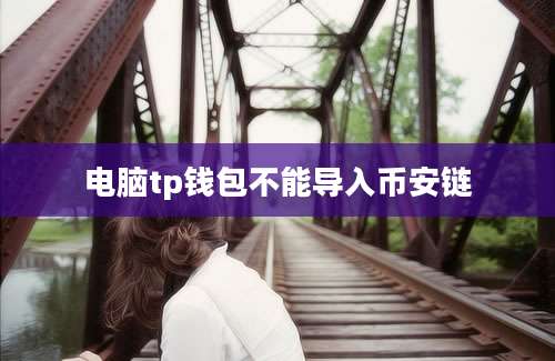 电脑tp钱包不能导入币安链