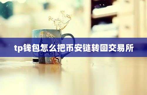 tp钱包怎么把币安链转回交易所