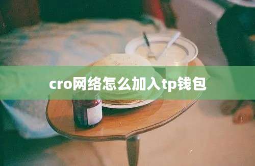 cro网络怎么加入tp钱包