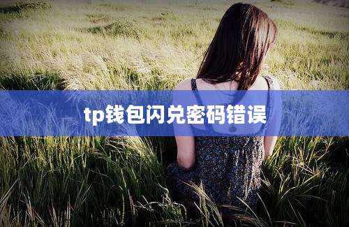 tp钱包闪兑密码错误