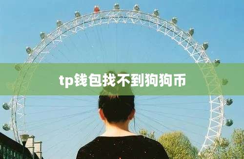 tp钱包找不到狗狗币