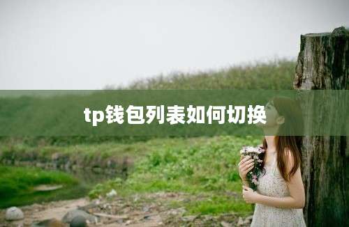 tp钱包列表如何切换