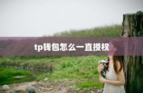 tp钱包怎么一直授权