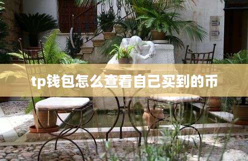 tp钱包怎么查看自己买到的币