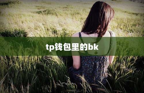 tp钱包里的bk