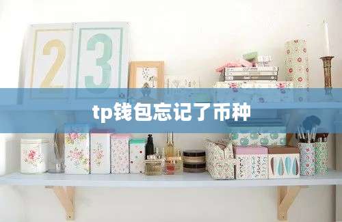 tp钱包忘记了币种