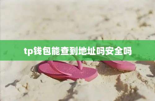 tp钱包能查到地址吗安全吗