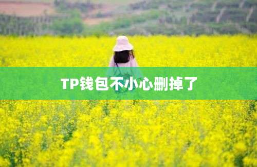 TP钱包不小心删掉了