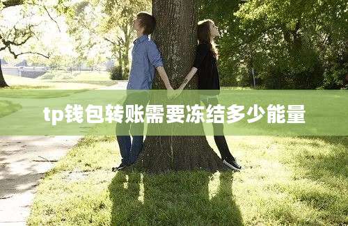 tp钱包转账需要冻结多少能量