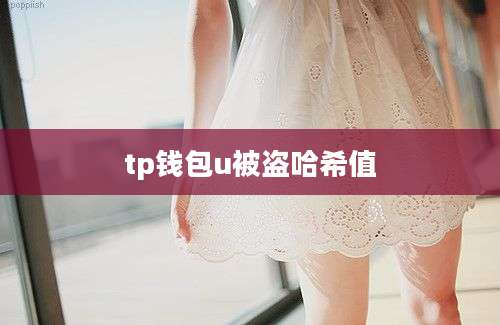 tp钱包u被盗哈希值