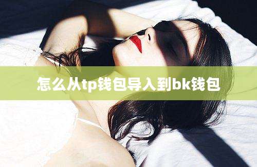 怎么从tp钱包导入到bk钱包