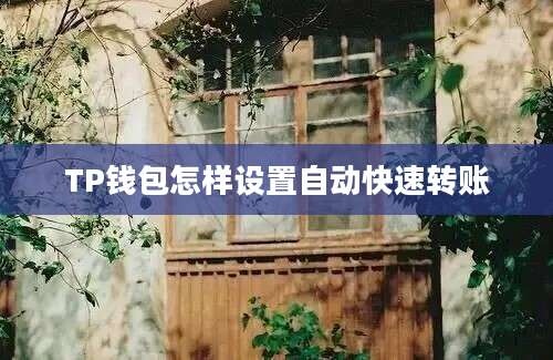 TP钱包怎样设置自动快速转账