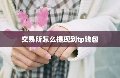 交易所怎么提现到tp钱包