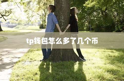 tp钱包怎么多了几个币