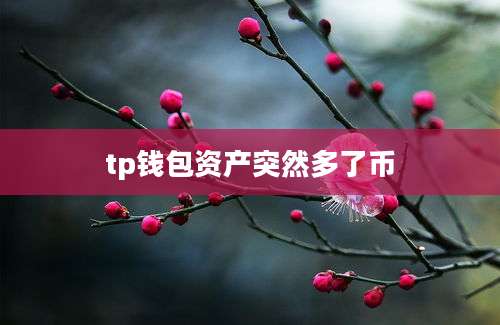 tp钱包资产突然多了币