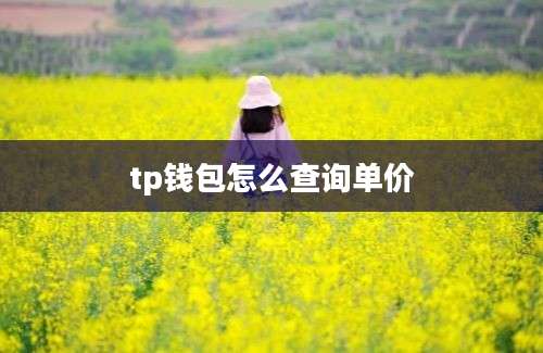 tp钱包怎么查询单价
