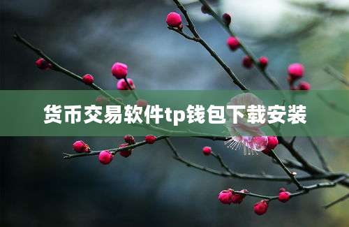 货币交易软件tp钱包下载安装