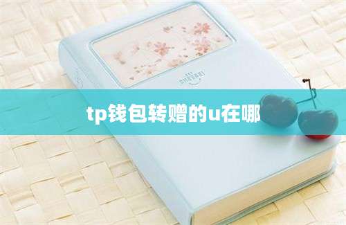 tp钱包转赠的u在哪