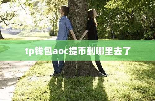 tp钱包aoc提币到哪里去了