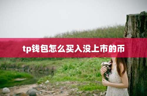 tp钱包怎么买入没上市的币