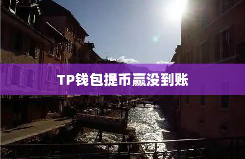 TP钱包提币赢没到账