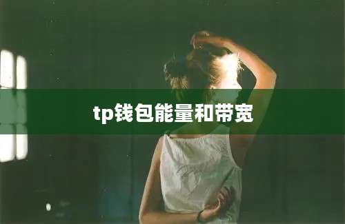 tp钱包能量和带宽