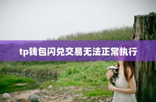 tp钱包闪兑交易无法正常执行