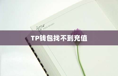 TP钱包找不到充值
