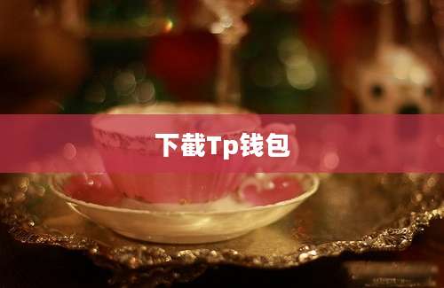 下截Tp钱包